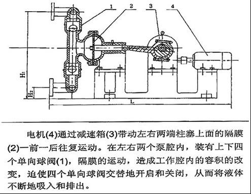 DBY型不銹鋼電動隔膜泵結(jié)構(gòu)簡圖